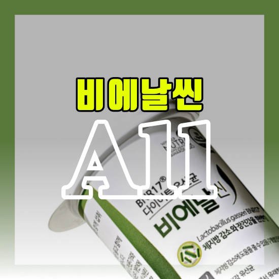 비에날씬효능 후기